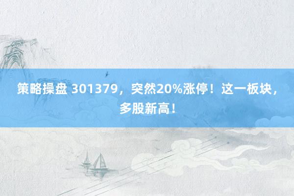 策略操盘 301379，突然20%涨停！这一板块，多股新高！