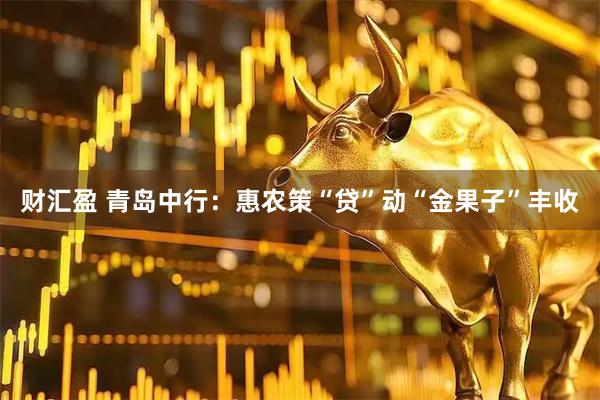 财汇盈 青岛中行：惠农策“贷”动“金果子”丰收