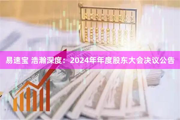 易速宝 浩瀚深度：2024年年度股东大会决议公告