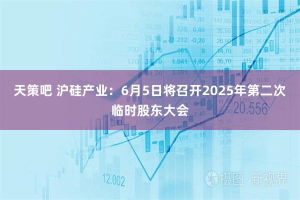 天策吧 沪硅产业：6月5日将召开2025年第二次临时股东大会
