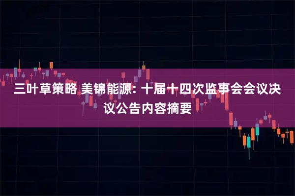 三叶草策略 美锦能源: 十届十四次监事会会议决议公告内容摘要